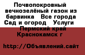 Почвопокровный, вечнозелёный газон из барвинка - Все города Сад и огород » Услуги   . Пермский край,Краснокамск г.